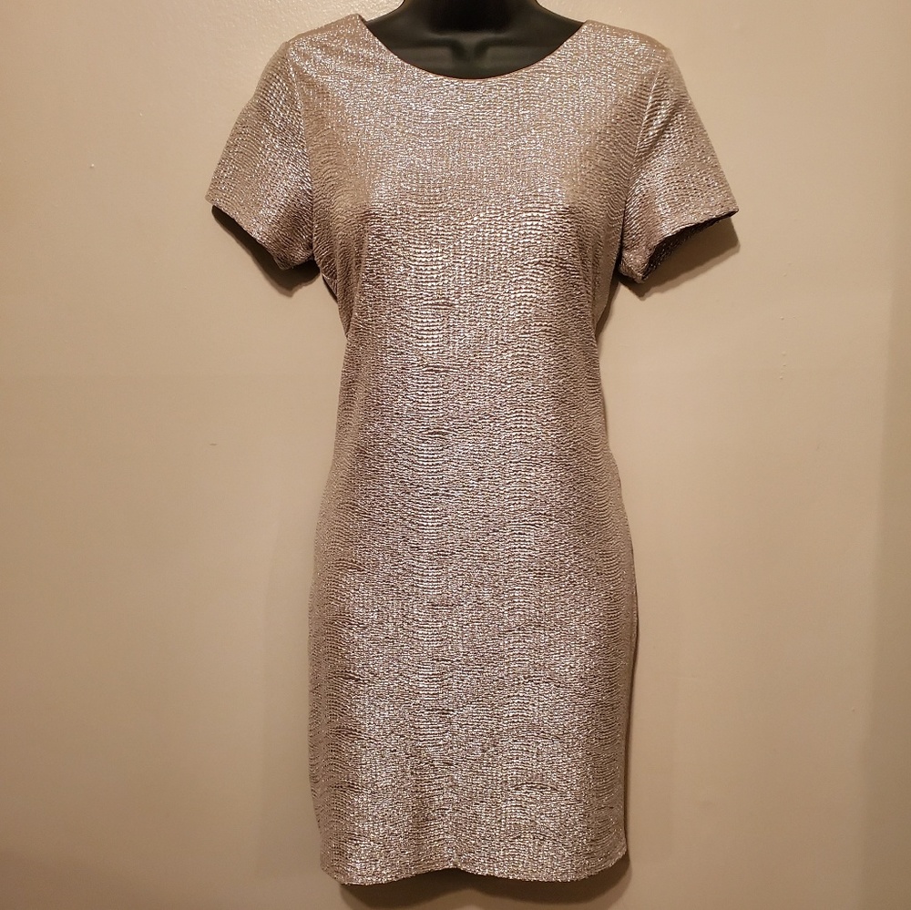 Champagne Gold and Silver Textured Dress by Sage